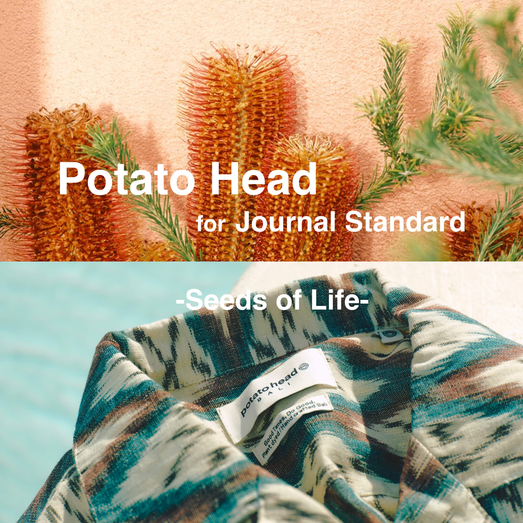 Potato Head for Journal Standard -Seeds of Life-｜JOURNAL STANDARD