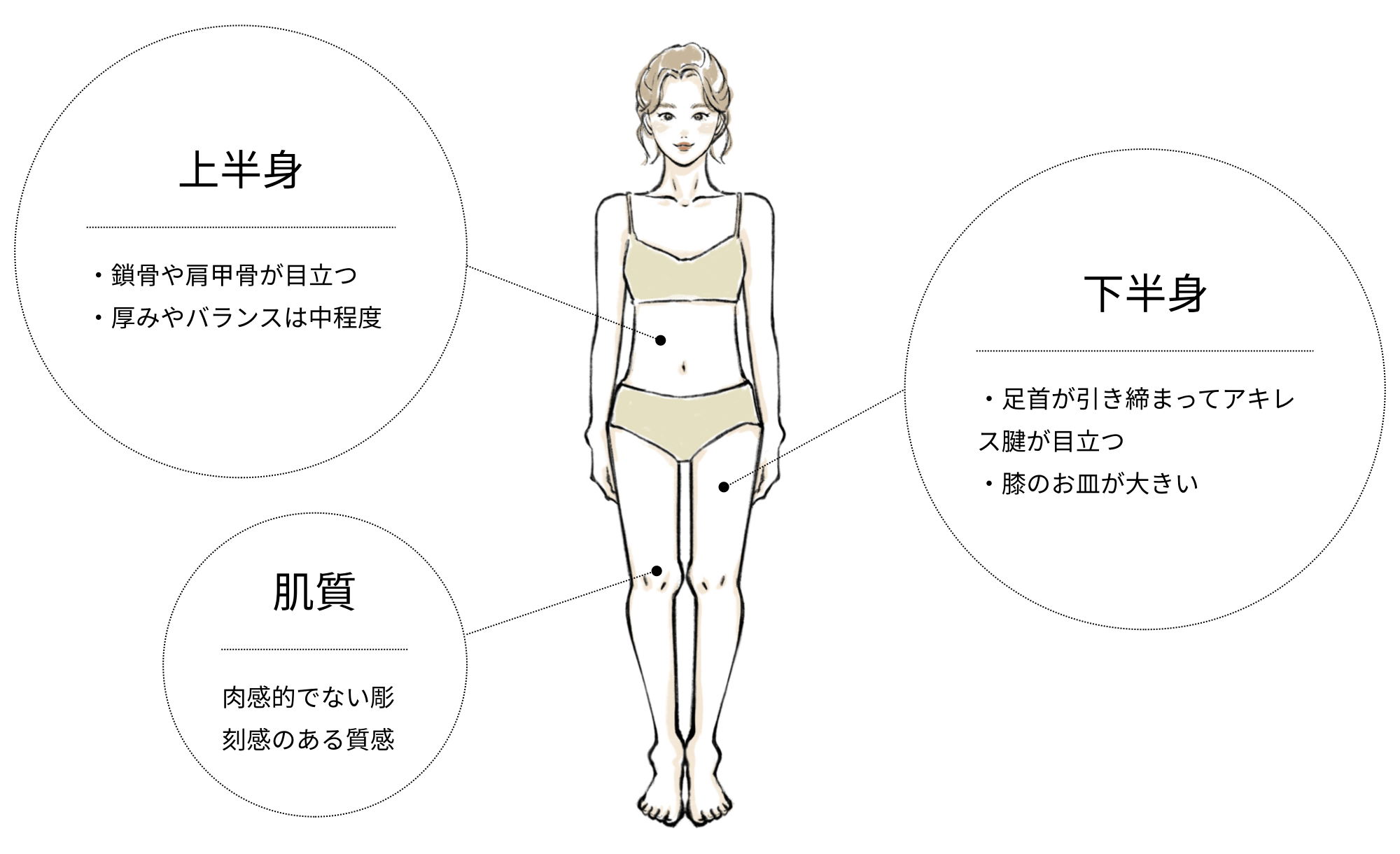 骨格ナチュラルの特徴