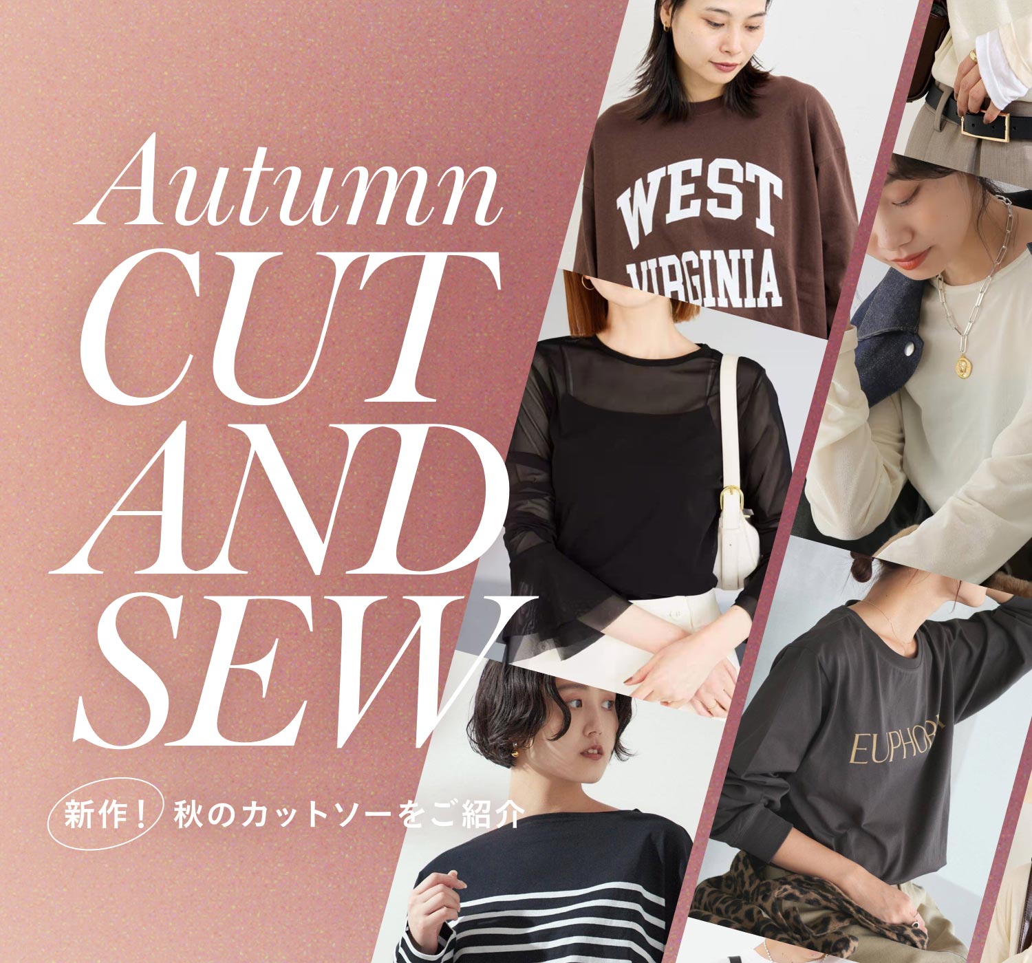■新品タグ■秋先取りDeuxieme Ciasse ボーダーカットソー □新品タグ□秋先取りDeuxieme Ciasse ボーダーカットソー