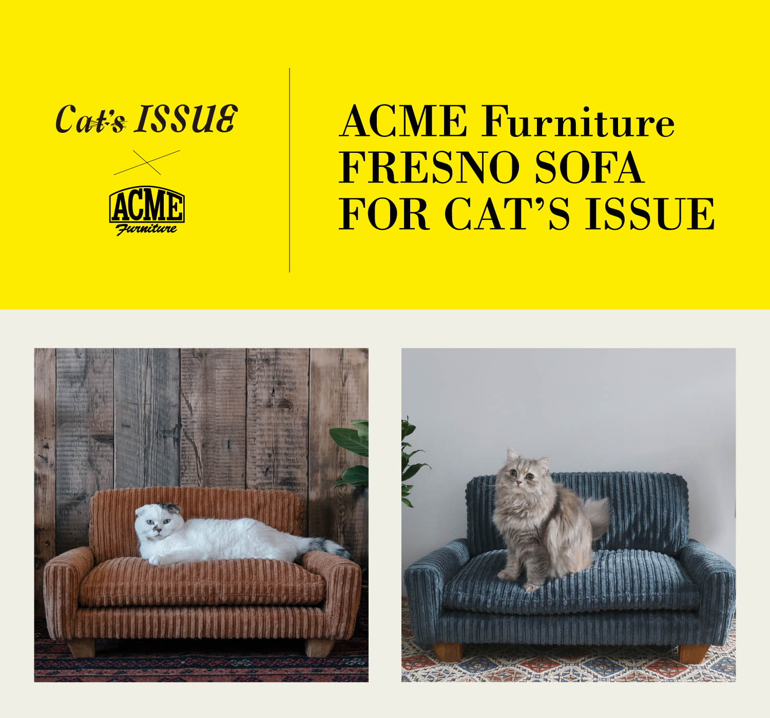 Cat's ISSUE × ACME Furniture あのソファが待望の商品化｜特集