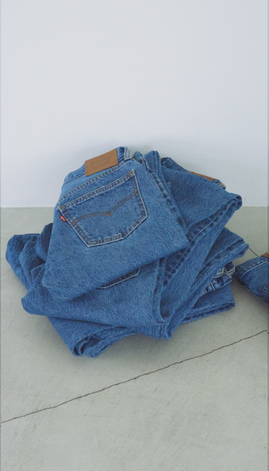 SOLOBE IENA Denim