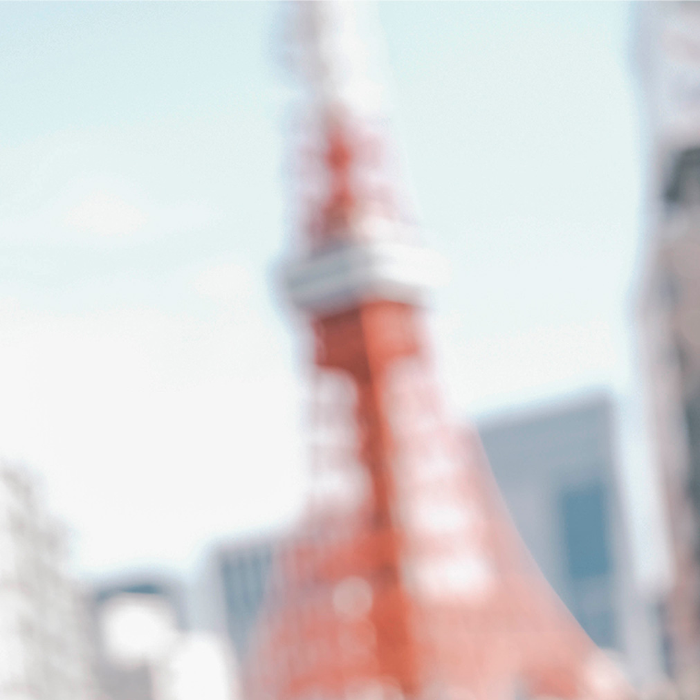 CITYSHOP LOOK VISUAL