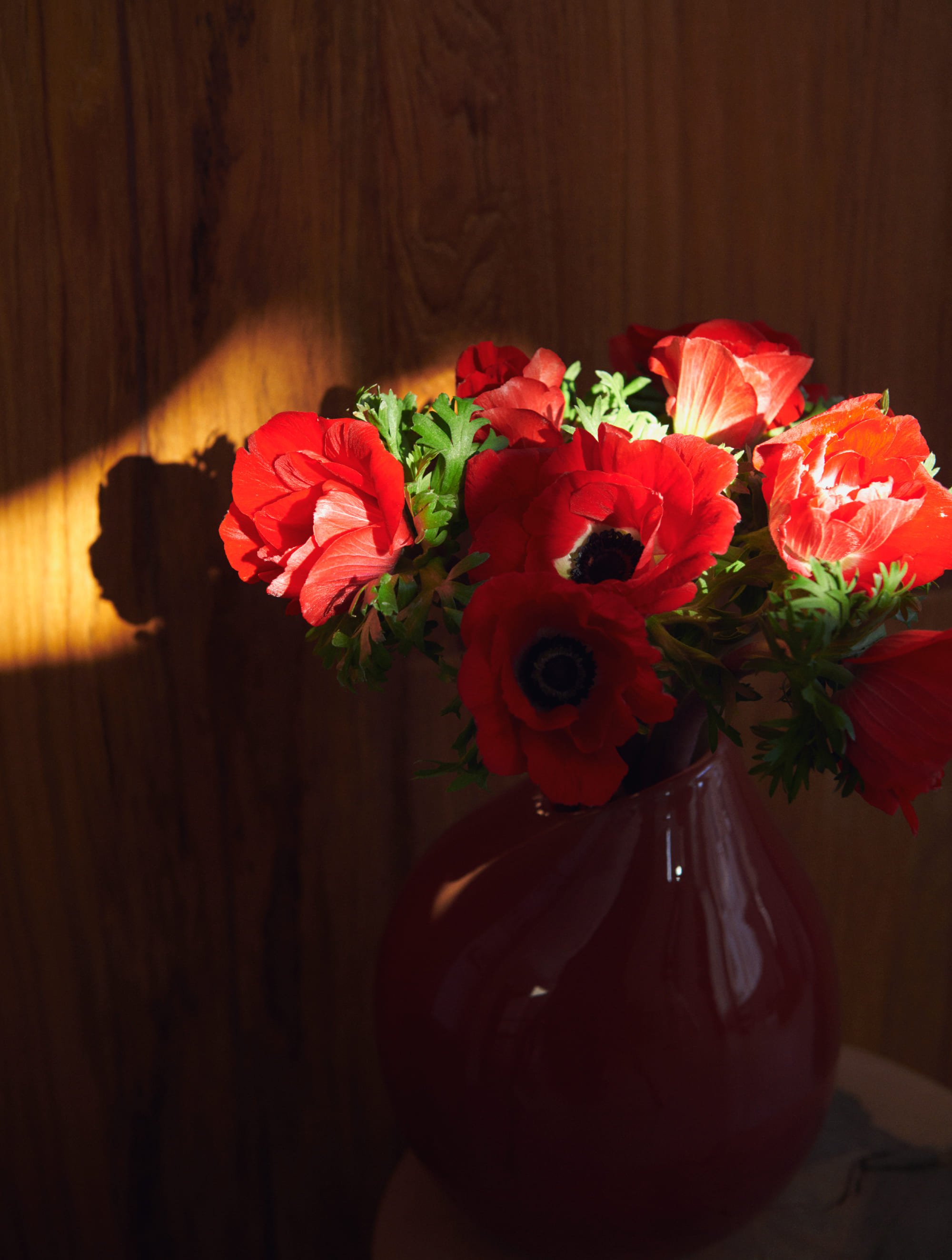 OUTERWEAR JUST EXCLUSIVE JOURNAL STANDARD L’ESSAGE PreSpring ’26